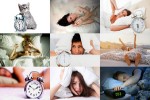 Wake-Up---Aufwachen.ppsx auf www.funpot.net