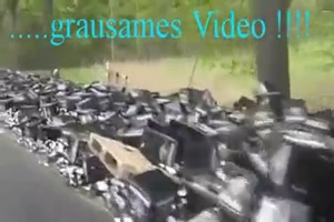 Ein wirklich grausames Video