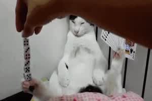 In Trance
