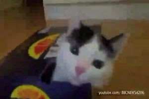 Wir kommen ueberall rein