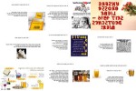 Tag-des-Bieres.pps auf www.funpot.net