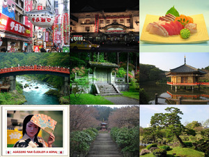 klicke hier, um die Datei herunterzuladen Japan