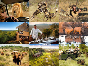 klicke hier, um die Datei herunterzuladen Madikwe Safari