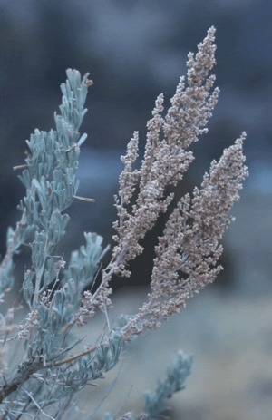 Winter Impressionen