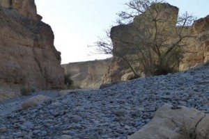 klicke hier, um die Datei herunterzuladen Impressionen aus Namibia 6
