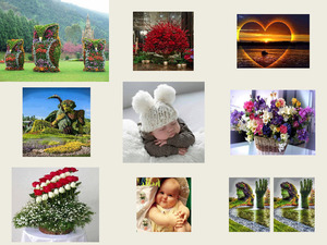 Es naht der Fr�hling