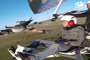 Richtige Vogelfreunde