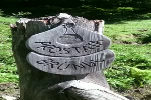 Prostata Brunnen