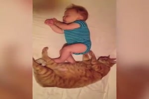 Babys und ihre tierischen Begleiter