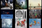 Die-besten-43-Gewinnerfotos-von-2017.ppsx auf www.funpot.net