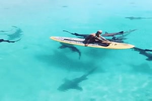 Gute Nerven sind hier n�tig