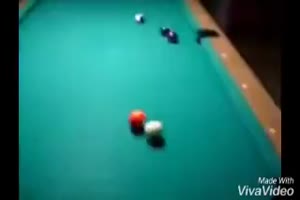 Ein Hund spielt Billard