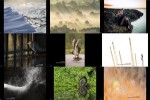 The-Winners-of-British-Photography-Awards-2017--.ppsx auf www.funpot.net