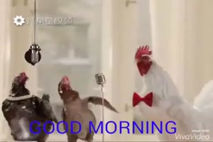 Guten Morgen