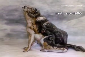 gut gemachte Illusion