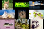 Bilder-Galerie.pps auf www.funpot.net