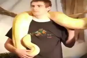 Schlange vs Schniedl....