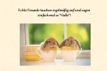 Echte-Freunde.mp4 auf www.funpot.net