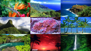 klicke hier, um die Datei herunterzuladen Hawaii-wunderschön
