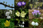 Lentetijd---Frühlingszeit.ppsx auf www.funpot.net