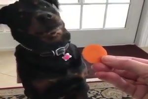 Er nimmt doch nicht jeden Mist