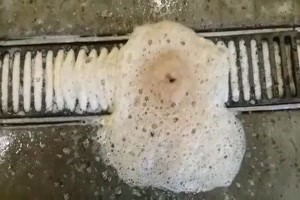 Der Bierschaum hat Spa