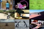 . auf www.funpot.net