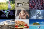 Bilder-Galerie.pps auf www.funpot.net