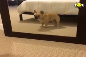 Tanz vor den Spiegel