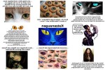 Katzenaugen.pps auf www.funpot.net
