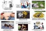 Passt-nicht-zusammen.pps auf www.funpot.net