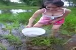Landwirtschaft-in-China.mp4 auf www.funpot.net