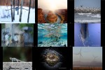 2016-National-Geographic-Nature-Photographer-of-the-Year-(2).ppsx auf www.funpot.net