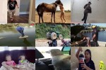 . auf www.funpot.net