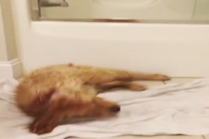 Nach dem Baden gut abtrocknen