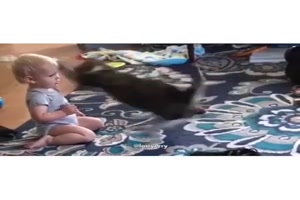 Tolle Spielgefhrten