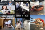 . auf www.funpot.net