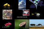 Bilder-Galerie.pps auf www.funpot.net