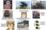 Schweinskram.pps auf www.funpot.net