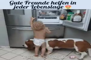 Gute Freunde helfen in jeder Lebenslage