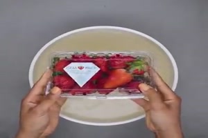 Lebensmittel haltbar machen