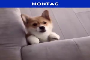meine woche