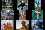 Naturwunder.pps auf www.funpot.net