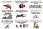 Wanzen-tanzen-Flöhe-husten.pps auf www.funpot.net