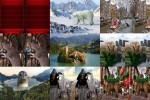 Gigantische-Tiere.ppsx auf www.funpot.net