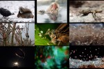 best-nature-pictures.pps auf www.funpot.net
