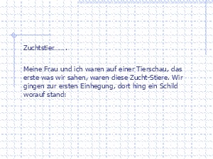 Zuchtstier