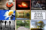 . auf www.funpot.net