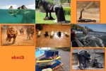 Super-nett.pps auf www.funpot.net
