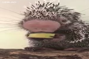 Schmeckt